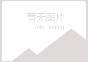 龙岩山柳采矿有限公司